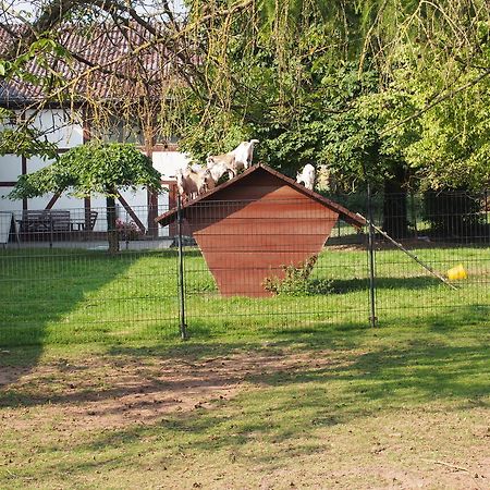 Appartamento Gut Dankerode Dankerode  Esterno foto